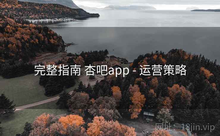 完整指南 杏吧app - 运营策略  第1张
