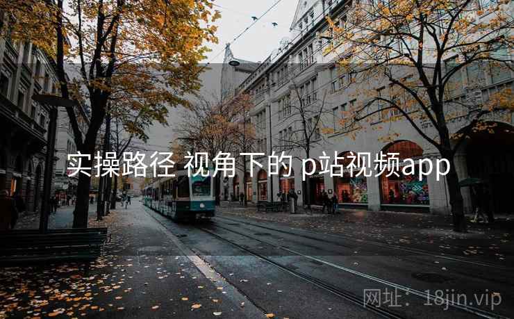 实操路径 视角下的 p站视频app 第2张 实操路径 视角下的 p站视频app 第2张